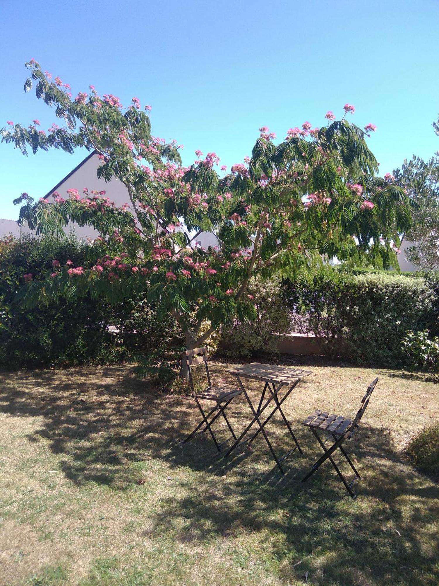 Chambre Agreable Au Calme Saint-Hilaire-Petitville 外观 照片